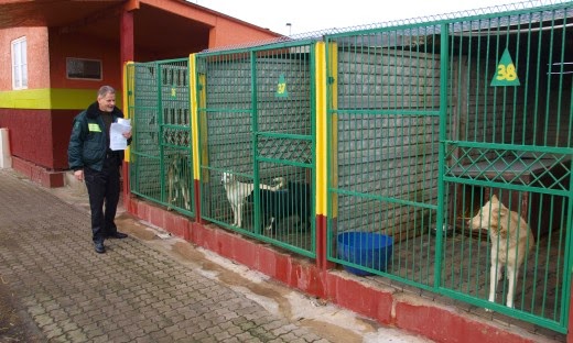 Białogard wybuduje nowe schronisko?